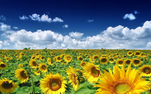 455884 (a): :1920x1200